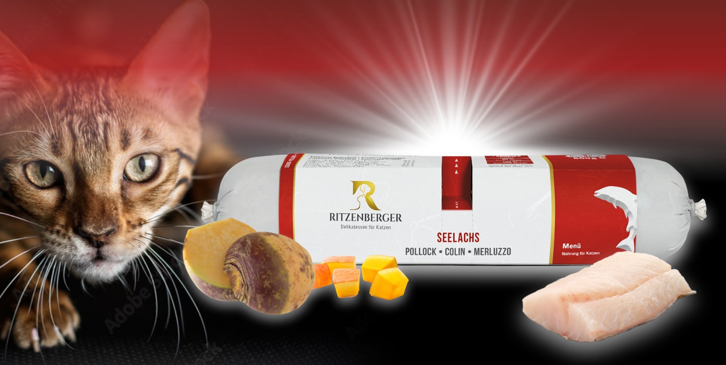 Menüs für Katzen