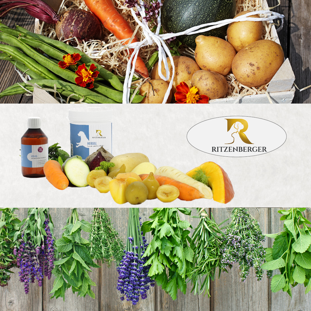 Karottenraspel | 500g Fresh-Box