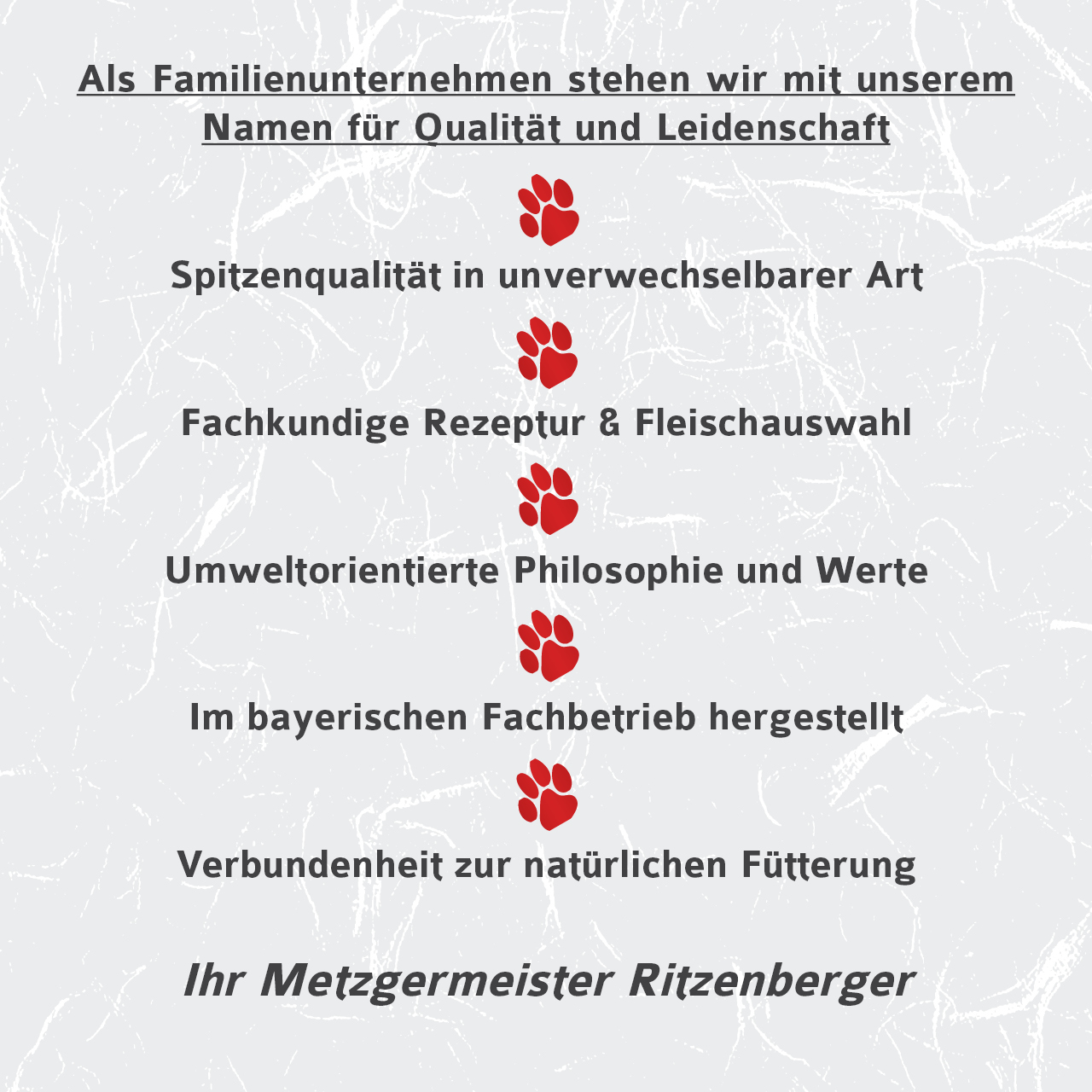 Katzenfutter-Box | 12x Duo-Rolls 2x175g