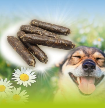 Wurstsnacks