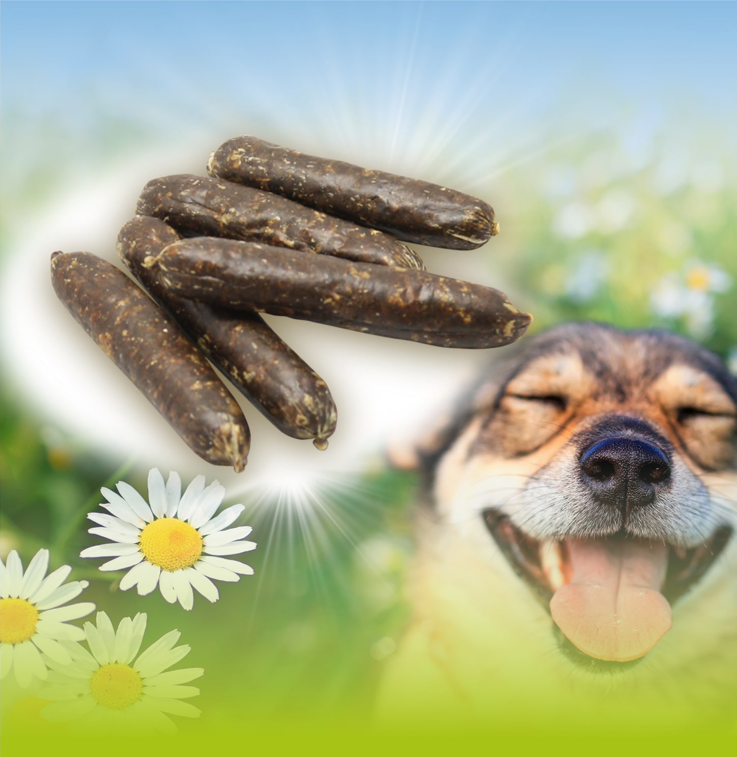 Wurstsnacks